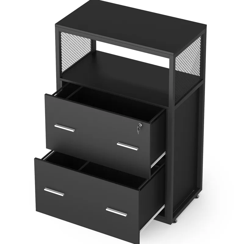 Tribesigns File Cabinets|File Cabinets*2 - Drawer File Cabinet, Letter/Legal / A4 Size Filing Cabinet with Lock