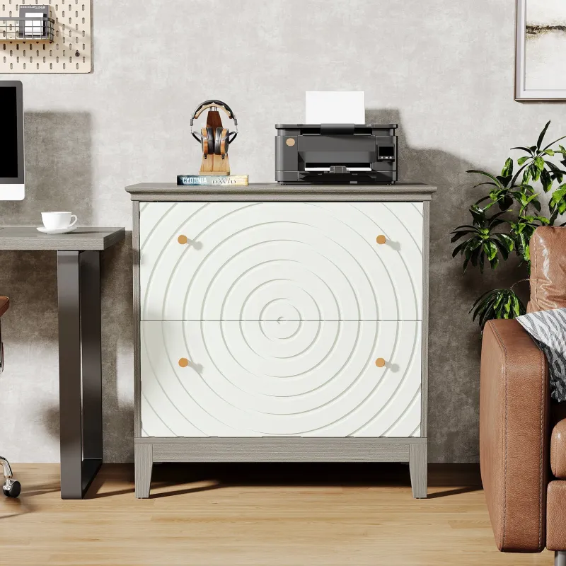 Tribesigns File Cabinets|File Cabinets*Lateral File Cabinet, Modern Filing Storage Cabinet with 2 Drawers