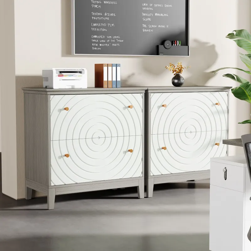 Tribesigns File Cabinets|File Cabinets*Lateral File Cabinet, Modern Filing Storage Cabinet with 2 Drawers
